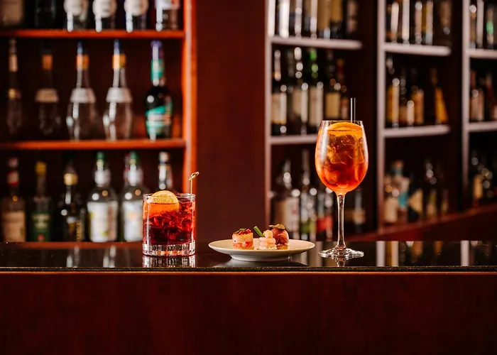 酒店 巴格尔达高级酒店